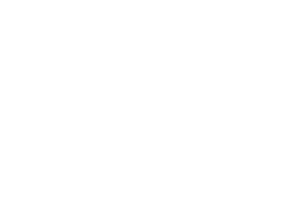Vigilanty Security